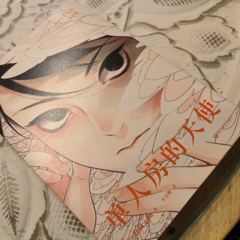 Japanese Single Room Angel Ori - Japanese Lifestyle Books avis et prix