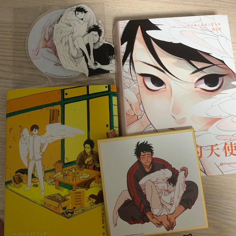 Japanese Single Room Angel Ori - Japanese Lifestyle Books avis et prix